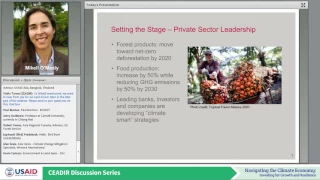 Scaling Up Private Sector Investment and Finance for Sustainable Landscapes in Southeast Asia