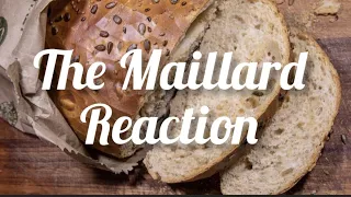What is Maillard Reaction - Mechanism of Maillard Reaction #maillardreaction