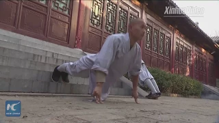 Shaolin monks perform fast, powerful kungfu