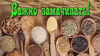 Почему так важно ЗАМАЧИВАТЬ КРУПЫ, ЗЁРНА, ОРЕХИ, БОБОВЫЕ...