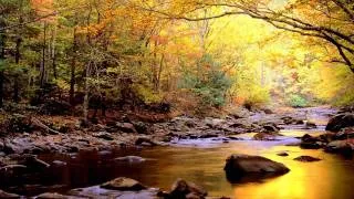 Yiruma - river flows in you (flute ensemble)