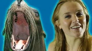 Seals: Holding Your Breath Challenge | Earth Unplugged