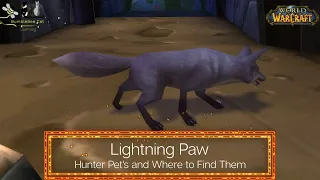 Lightning Paw - Hunter Pets - Where to find it in World of Warcraft - ep 10