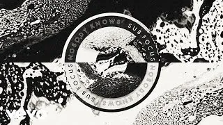 Sub Focus - Nobody Knows (Audio)