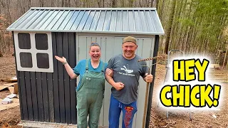 Chicken coop build