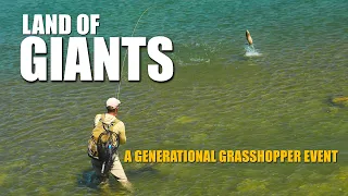 Land of GIANTS: THE GENERATIONAL GRASSHOPPER EVENT! Big Rainbow Trout, Clear Water & GRASSHOPPERS