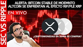 ALERTA: BITCOIN STABLE DE MOEMNTO, ALTCOIN SE ENFRENTAN AL EFECTO RIP/PLE XRP / DANIEL MUVDI