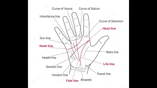 #Palmistry: Know about you: with Earth Hand