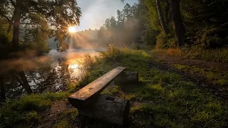 Звуки природи ліс, ніч, спів птахів, комахи, kaluna Music