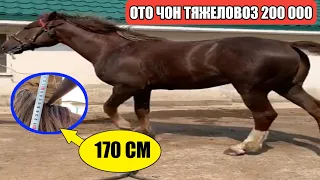 Ото Чон Тяжеловоз Ат 170 См  Сатылат! Элден Келген Элдик  Виделор!