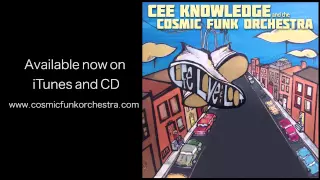 13- "NSA (No Suckerz Allowed)" - Cee Knowledge & Cosmic Funk Orchestra - "To Life, Love, & Loot"