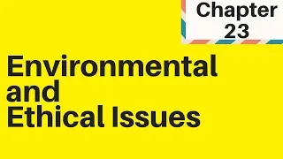 6.2 Environmental and Ethical Issues IGCSE Business Studies