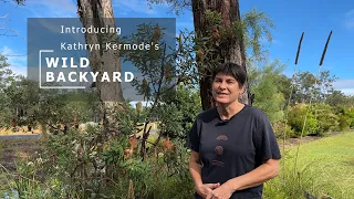 Introducing Kathryn Kermode's Wild Backyard