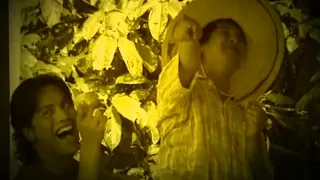 Spring - Kerana Budi Ku Jatuh Hati (Music Video)