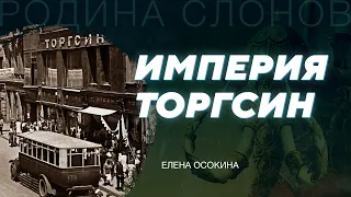 Алхимия советской индустриализации. Елена Осокина. Родина слонов № 193