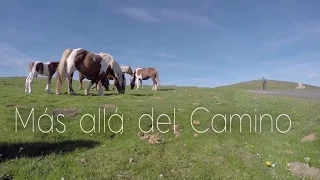 El Camino de Santiago. Más allá del camino.