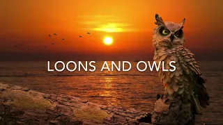 1 Hour Owl & LOON Sounds (With Crickets)  *No Music*
