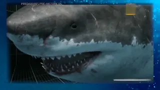 Documentário  Megalodon