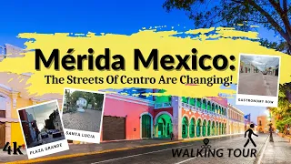 Uncover the Magic of Historic Centro Merida Mexico: A Captivating Walking Tour with Local Favorites