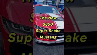 2024 Shelby Super Snake Mustang just announced! The most powerful Ford Mustang ever! 🔥🔥