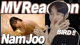 eng) KIM NAM JOO 'Bird' MV Reaction | 김남주 버드 뮤직비디오 리액션 | Fanboy Moments | J2N VLog