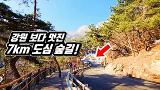 🚉 등산 초보도 5분이면 도착!  강원도 안부러운 도심 속 '7km' 숲길 여행 | 📸 대중교통 당일치기 | 트레킹 | Downtown Forest Trekking in KOREA