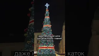 Будапешт, Венгрия 🇭🇺Рождественская ярмарка перед Базиликой 🎄