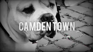 Trojan - Camden Town (Prod. Nad Jubilerem) // OFFICIAL VIDEO