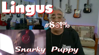 Musician/Producer Reacts to "Lingus" by Snarky Puppy