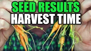 Harvest Time Results- Are Expensive Seeds Better? | EpicReviewGuys CC