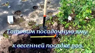 Готовим яму к весенней посадке роз. Питомник растений Е. Иващенко