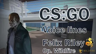 CSGO Operation Wildfire Voice Lines: Felix (Wildfire Campaign)