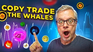 How To Copy Trade The Meme Token Whales | Massive Gains to be Had