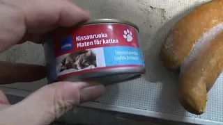 Pasi Viheraho Syö Kissan Ruokaa