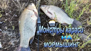 Огромные караси на мормышинг