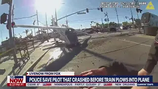 WATCH: LAPD rescues pilot seconds before train plows into downed plane