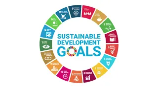 UN Sustainable Development Goals Animation