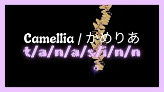 [ ADOFAI Custom #13 ] Camellia (かめりあ) - t/a/n/a/s/i/n/n | Map by mazyuhh