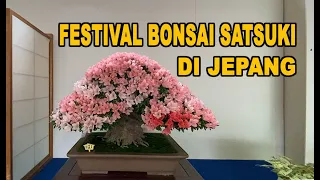 Festival Bonsai Satsuki Azalea Di Jepang