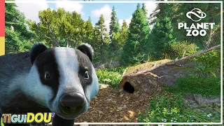 THE SET! | Badger Habitat | Tiguidou Zoo Episode 15 | Planet Zoo