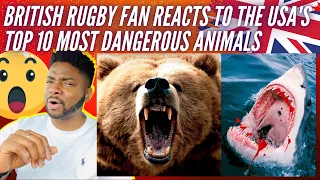 🇬🇧  BRIT Rugby Fan Reacts To The USA Top 10 Most DANGEROUS Animals - American Monsters!