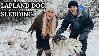 EXTREME Dog Sledding in Rovaniemi, Lapland, Finland