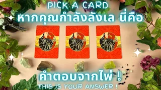 หากคุณกำลังลังเล นี่คือคำตอบจากไพ่ ! ✨ PICK A CARD : THIS IS YOUR ANSWER !✨