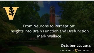 Neurons to Perception: Insights into Brain Function and Dysfunction 10.22.2014