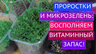 ПРОРОСТКИ И МИКРОЗЕЛЕНЬ! НЕОЦЕНИМАЯ ПОЛЬЗА ДЛЯ ОРГАНИЗМА!