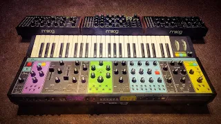 Finally - A Moog Video!!