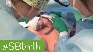 #SBbirth: Overview of the twin-birth study
