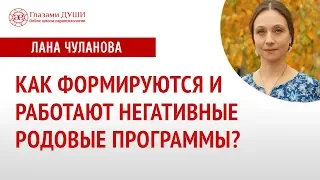 Родовые программы | Влияние рода | Сила Рода | Глазами Души