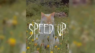 Виктор Цой - Звезда (speed up)