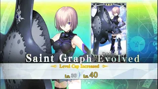 Fate/Grand Order - Mash Kyrielight ascension 1-80Lvl + Ortinax